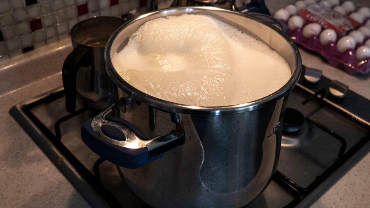 Milk being boiled