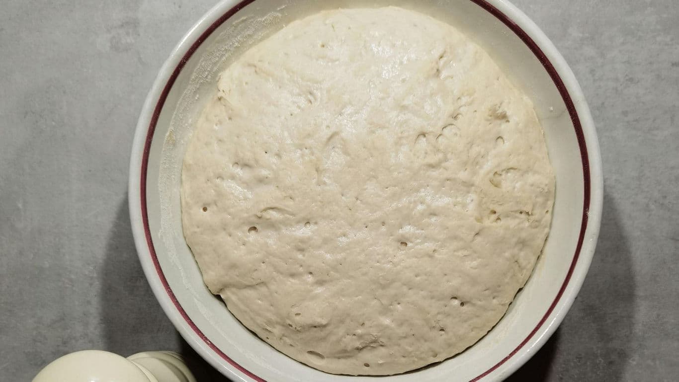 Risen bread dough resting in mixing bowl