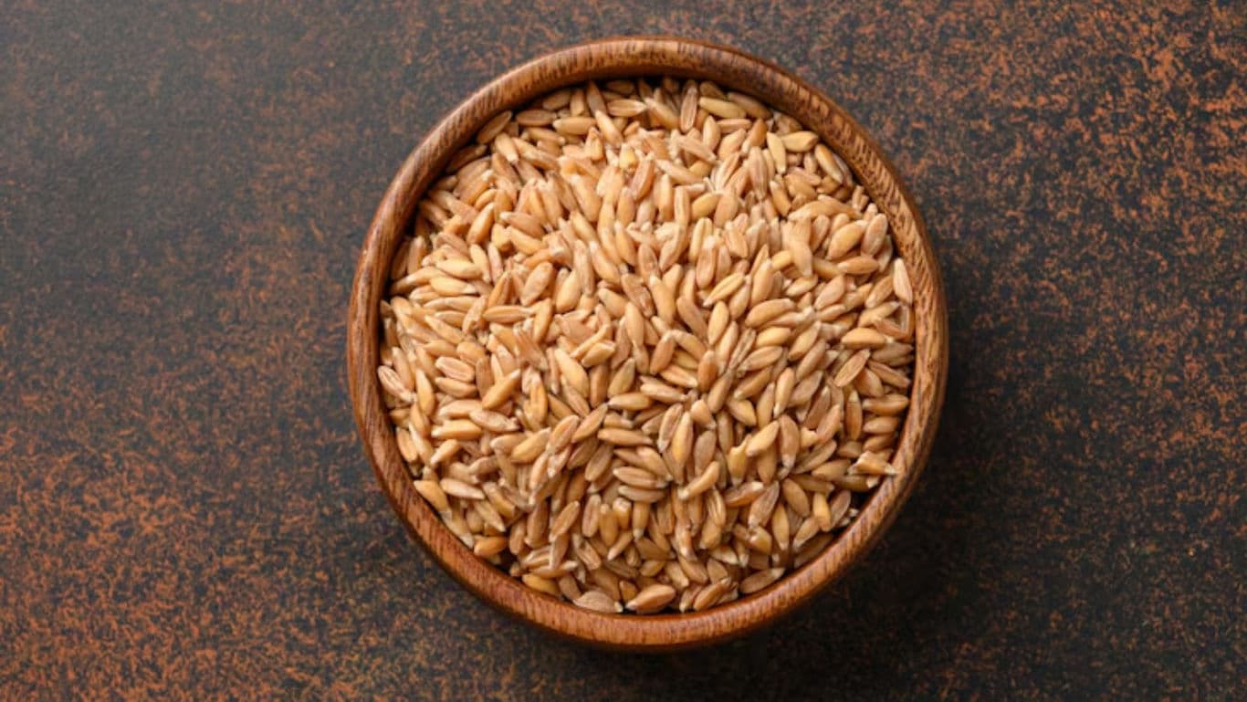 Wooden bowl filled with whole grain farro seeds