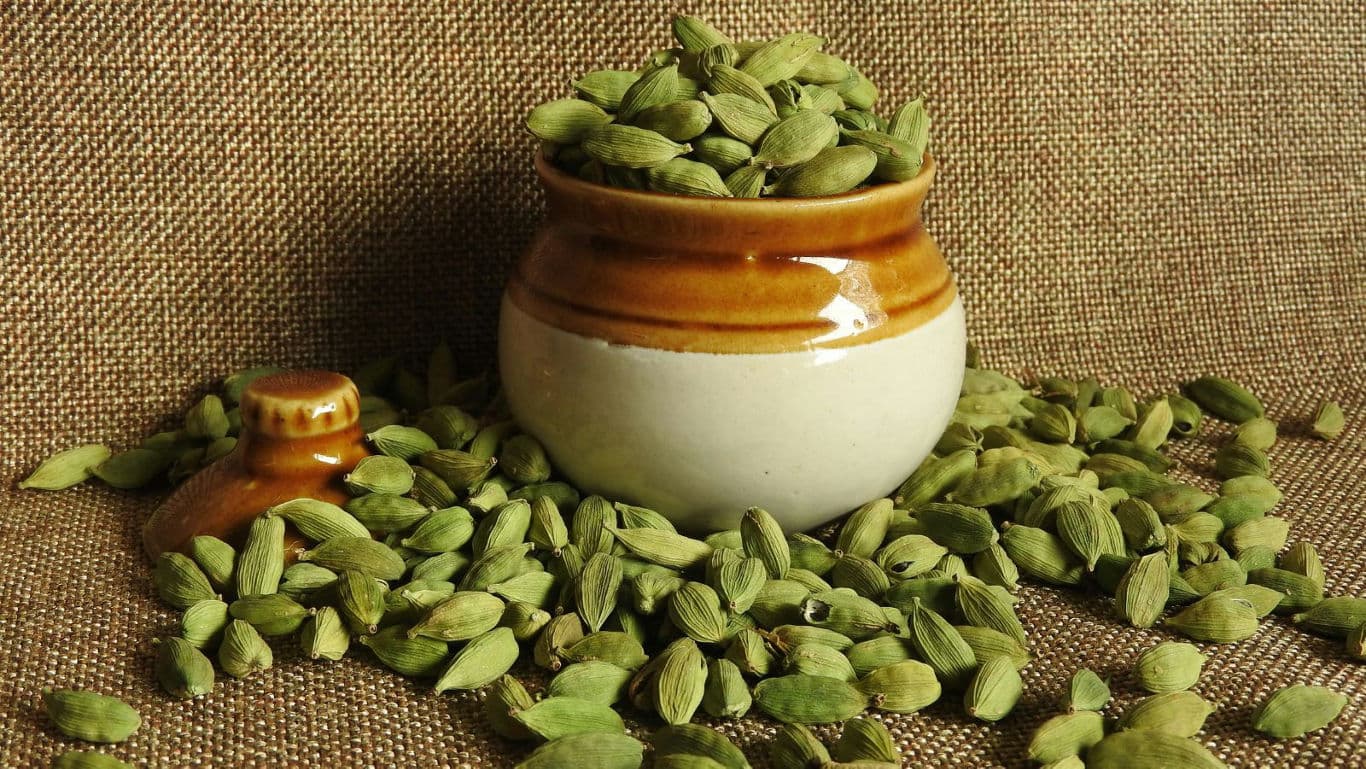 Green cardamom pods in rustic ceramic jar