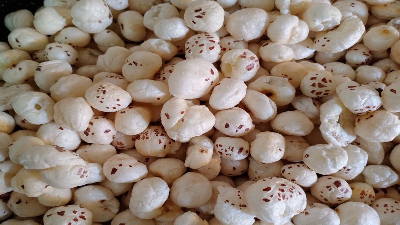 The Underrated Power of Makhana (Fox Nuts) in Snacks and Desserts