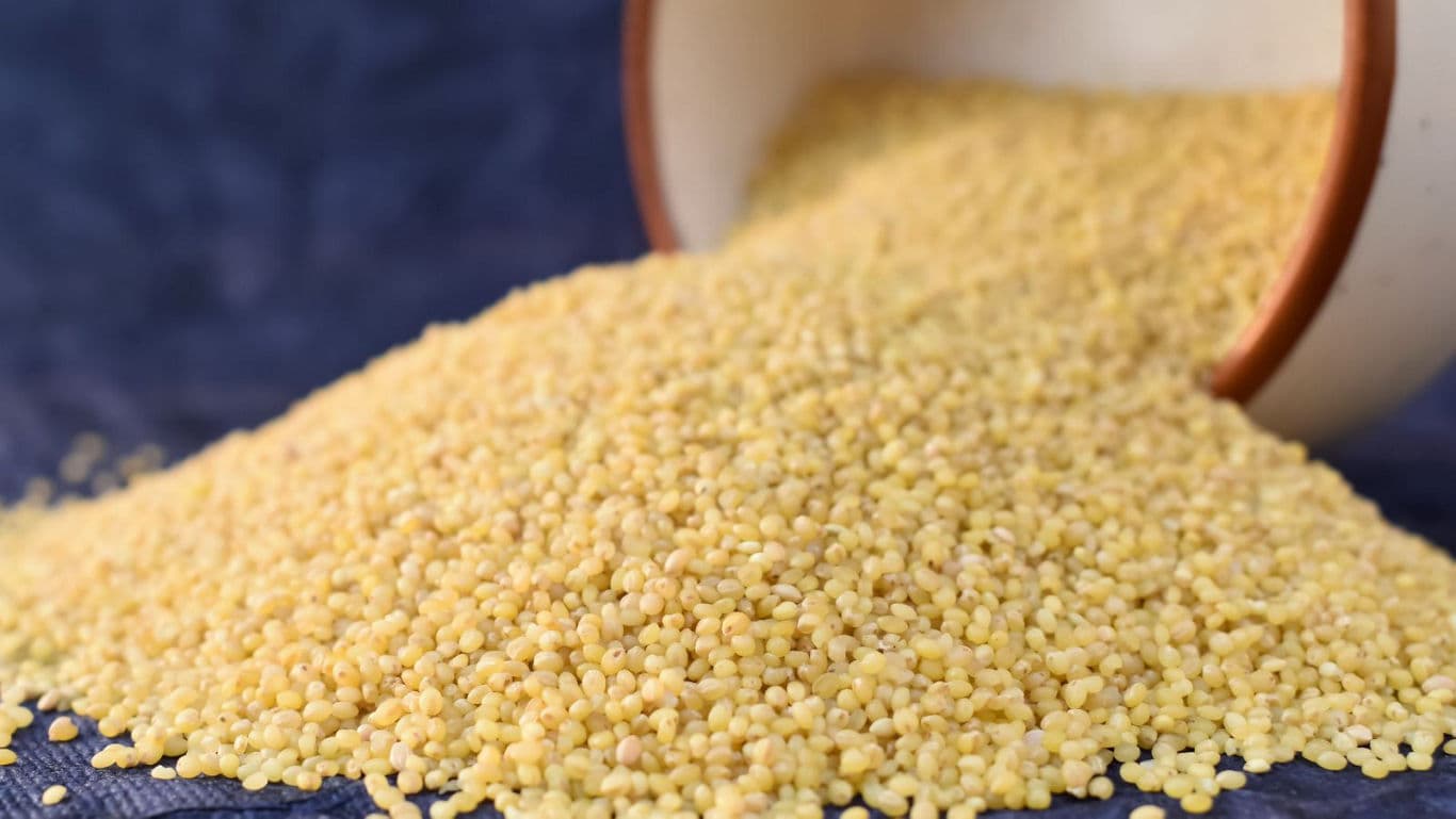 Loose millet grains spilling from container
