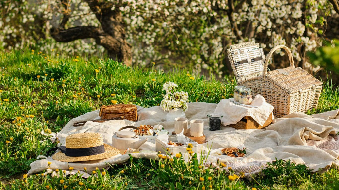History Of Picnics: How Picnic Culture Evolved From Royal Banquets To Park Blankets