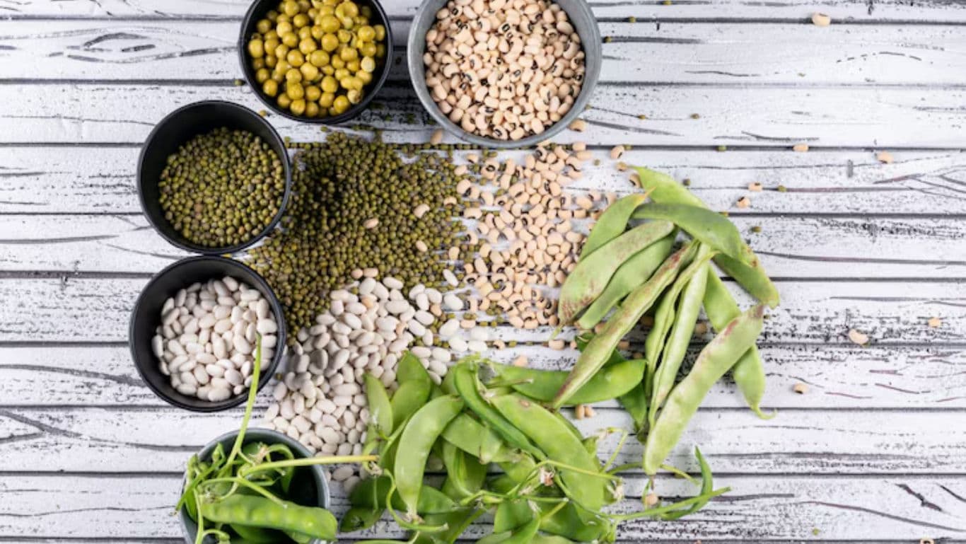 Assorted Beans and Legumes on Rustic Wooden Table