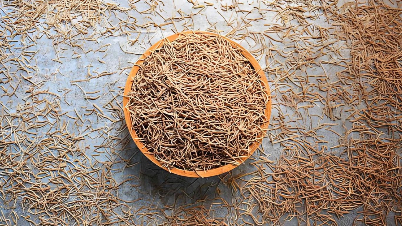 Bowl of dried roots on rustic surface