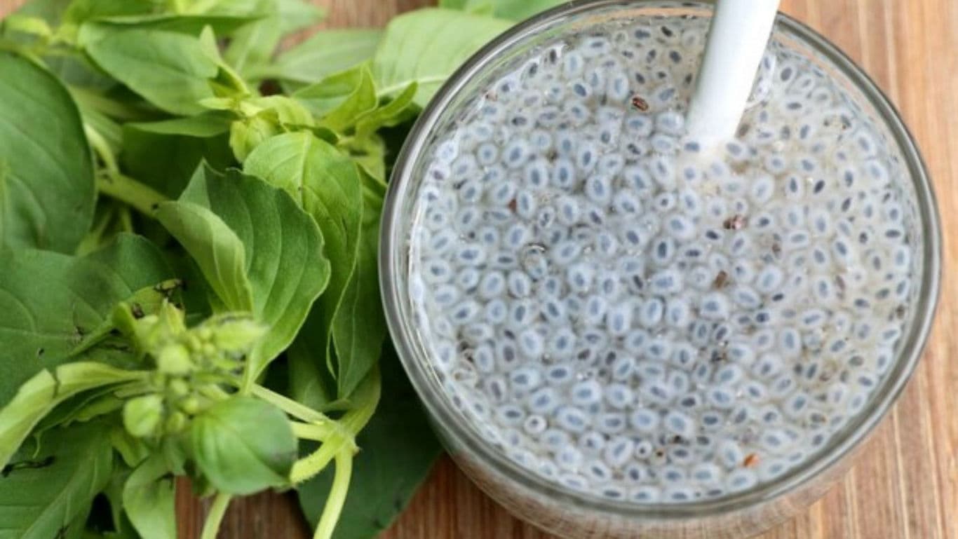 Glass of basil seed drink with leaves
