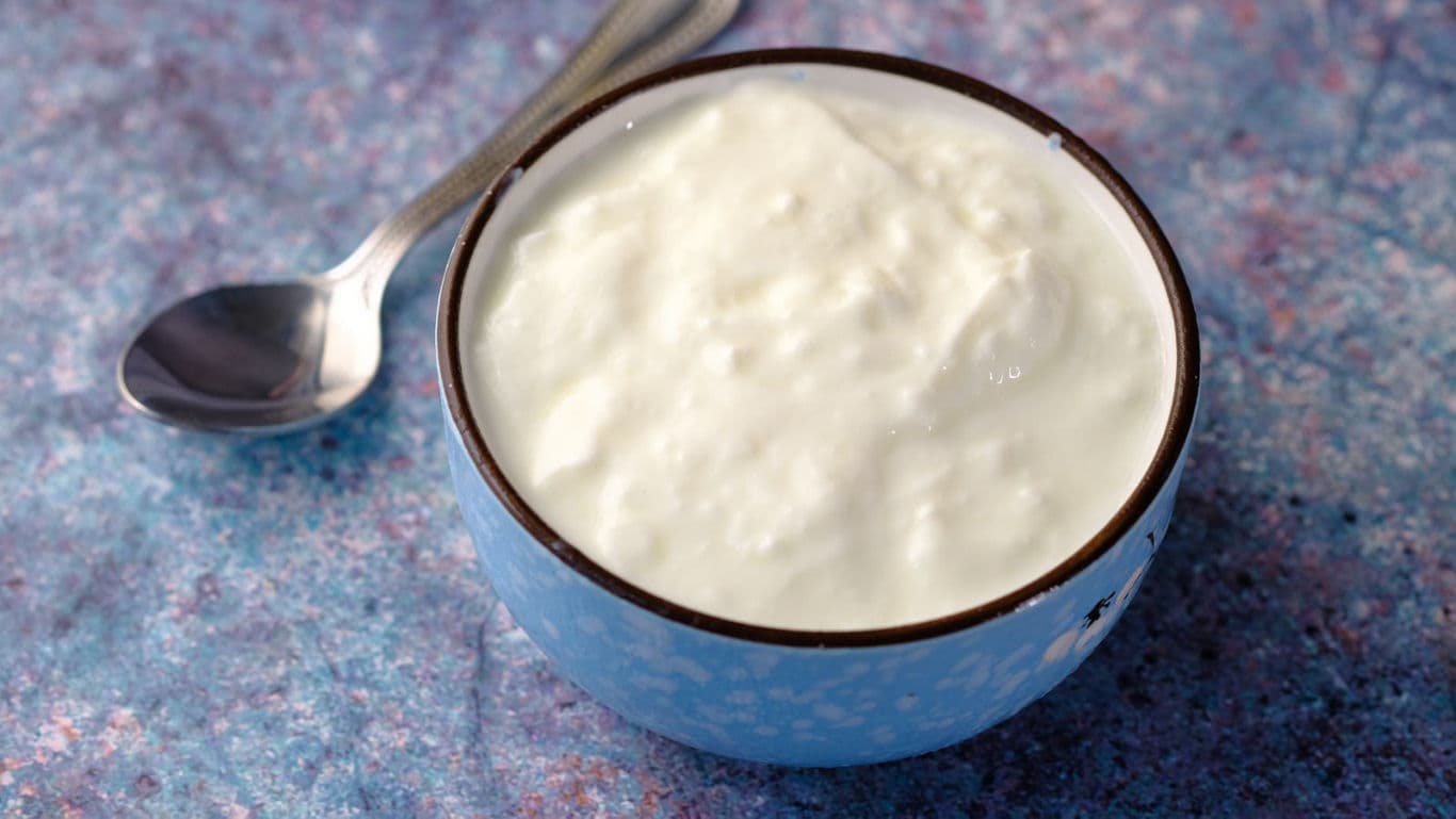 Bowl of plain yogurt on blue textured surface