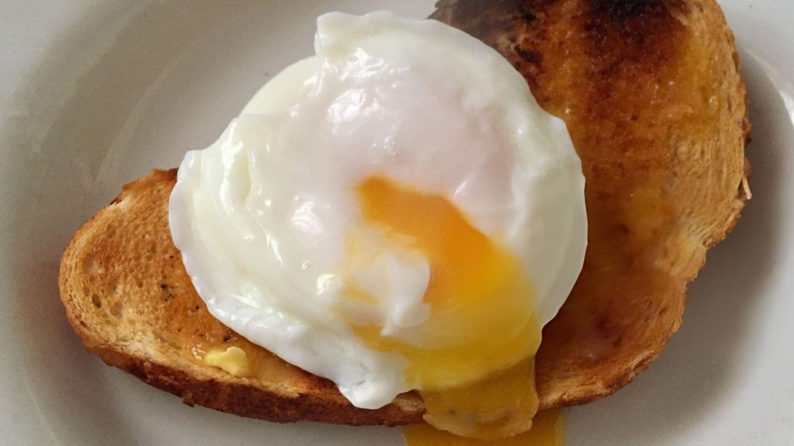 Poached Egg on Toasted Bread